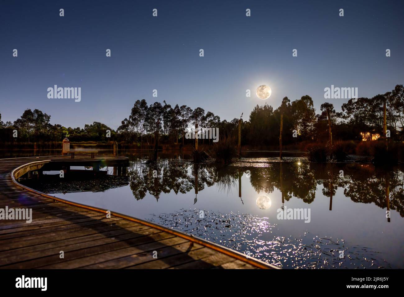 Eine wunderschöne Aussicht auf die Blue Hills Wetlands mit einem Vollmond, der sich im Wasser spiegelt, und einem Holzpfad, NSW, Australien Stockfoto