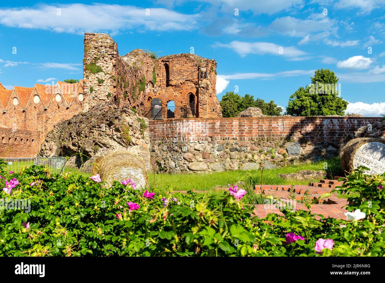 Ruinen der teutonischen Burg (Ruiny zamku krzyżackiego w Toruniu) aus dem 14.. Jahrhundert, Torun, Polen Stockfoto