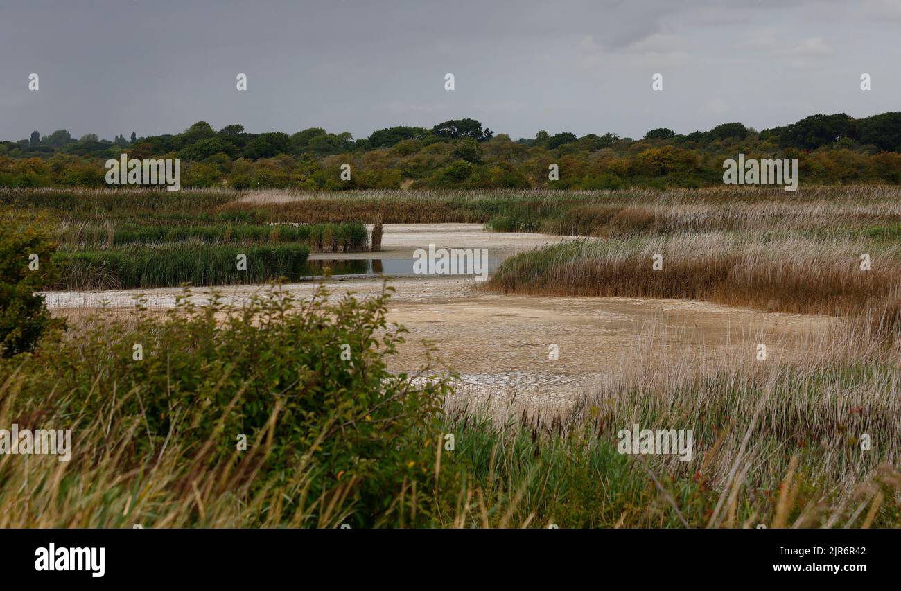 Das Sumpfgebiet in Pagham Harbour, Großbritannien, wurde im Sommer 2022