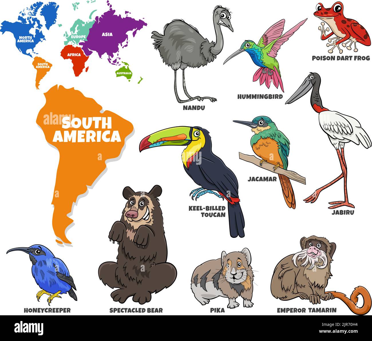 Pädagogische Karikatur Illustration von südamerikanischen Tierarten Charaktere gesetzt und Weltkarte mit Kontinenten Formen Stock Vektor