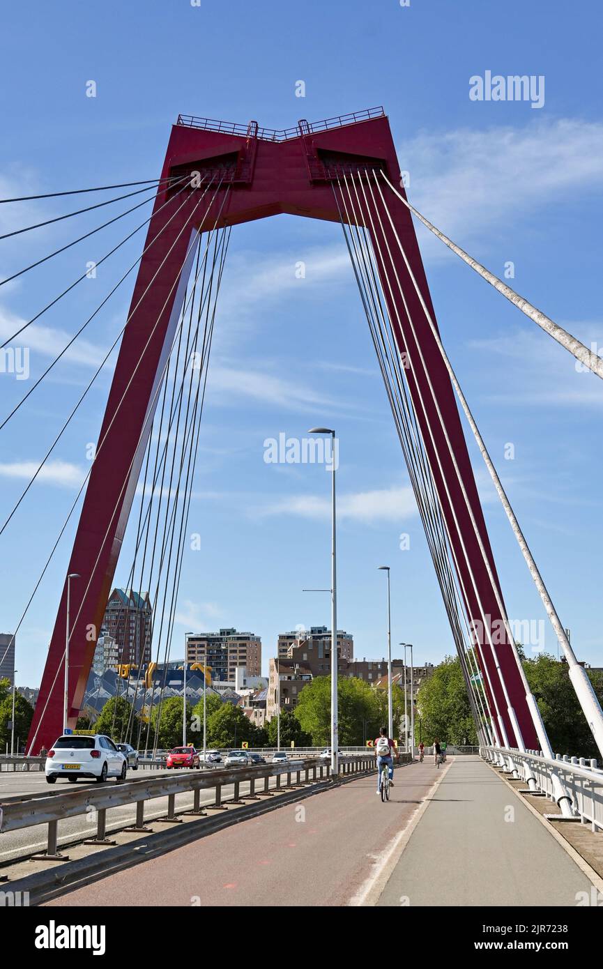 Rotterdam, Niederlande - 2022. August: Fahrradfahrer auf dem Radweg über die Willems-Brücke im Stadtzentrum über den Fluss Nieuwe Maas. Stockfoto