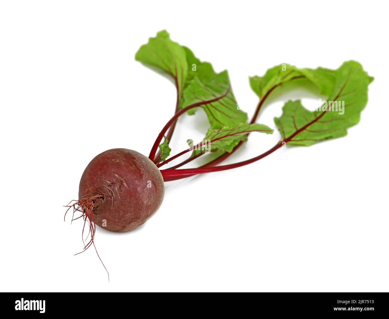 Mit Blättern auf weißem Hintergrund Rote Bete Stockfoto