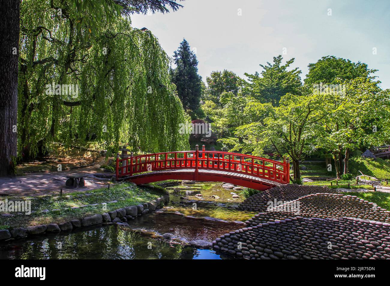 Japanische Rote Brücke im Albert Kahn Museum (japanischer Garten) in Paris - fantastischer Frühling! Anfang Mai - Rhododendron (Azaleen) blüht! (Fantastisch Stockfoto