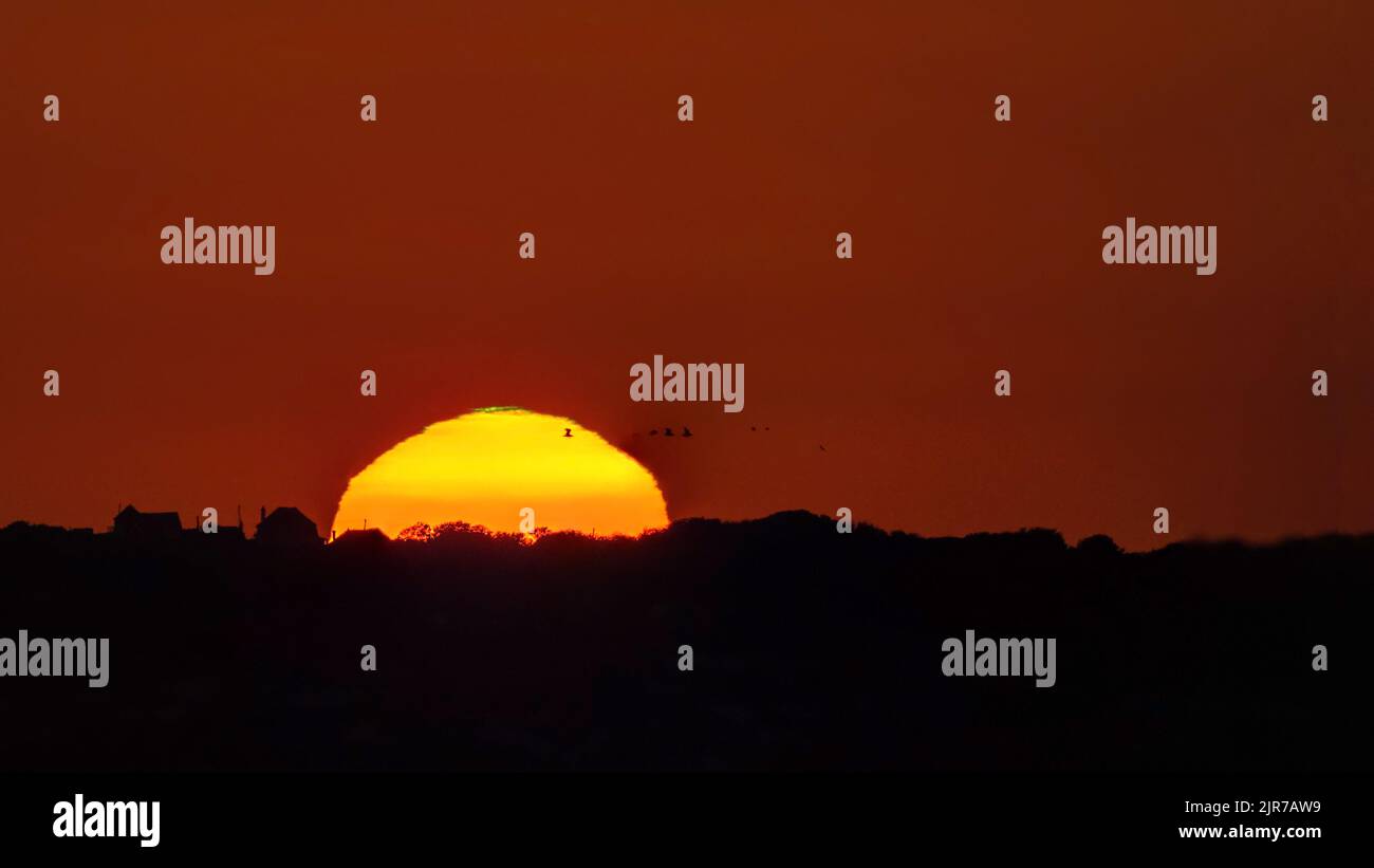 Untergehende Sonne mit Möwen und Green Flash Phänomen Stockfoto