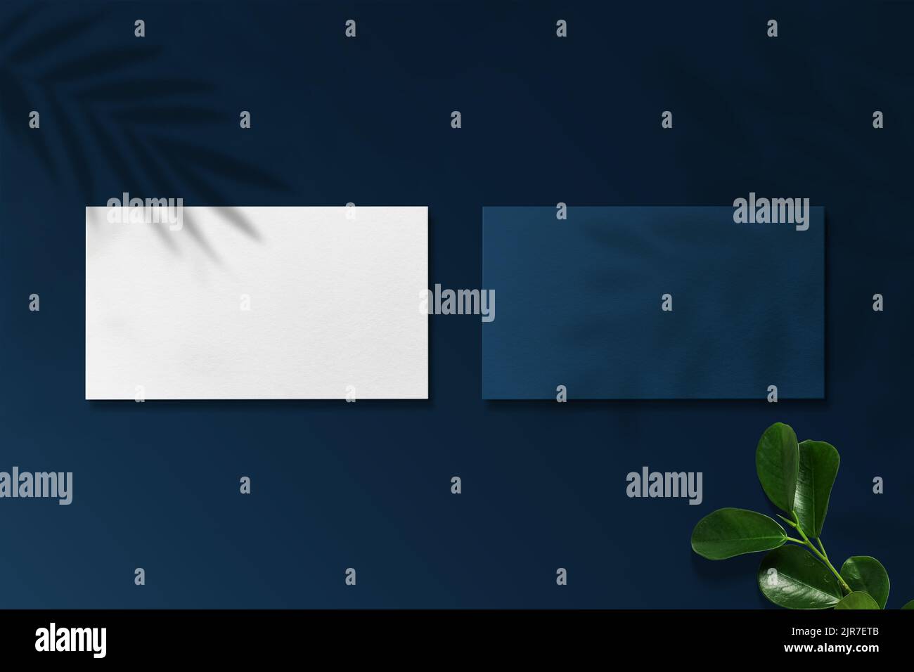 Luxus-Visitenkarte-Modell.Luxus-Logo-Modell Stockfoto