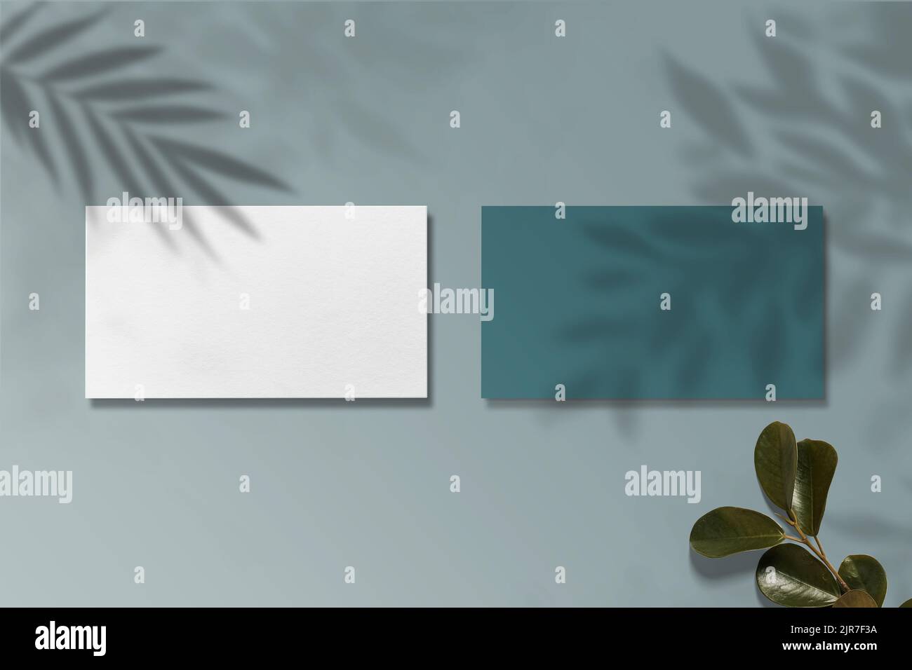 Luxus-Visitenkarte-Modell.Luxus-Logo-Modell Stockfoto