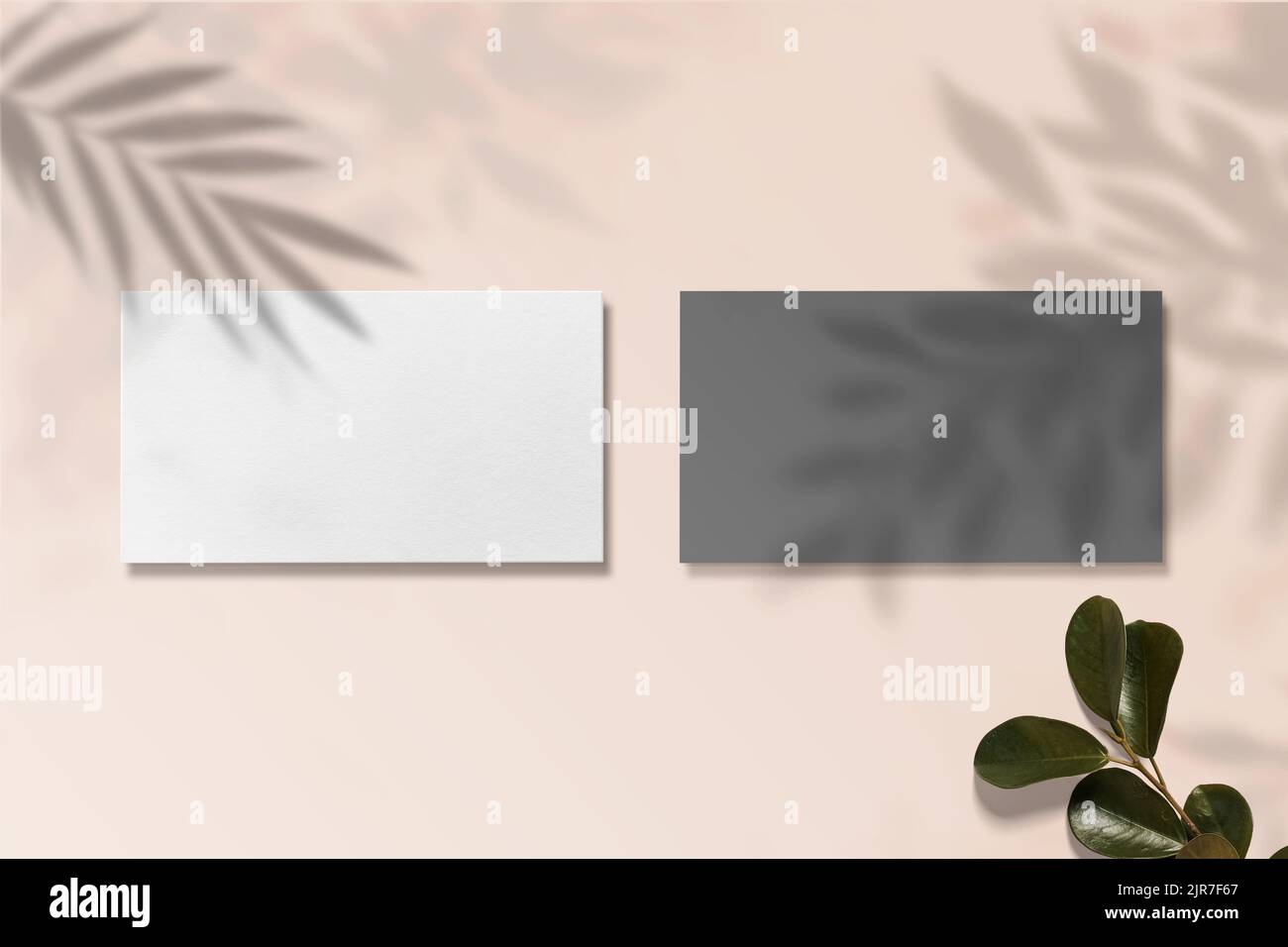 Luxus-Visitenkarte-Modell.Luxus-Logo-Modell Stockfoto