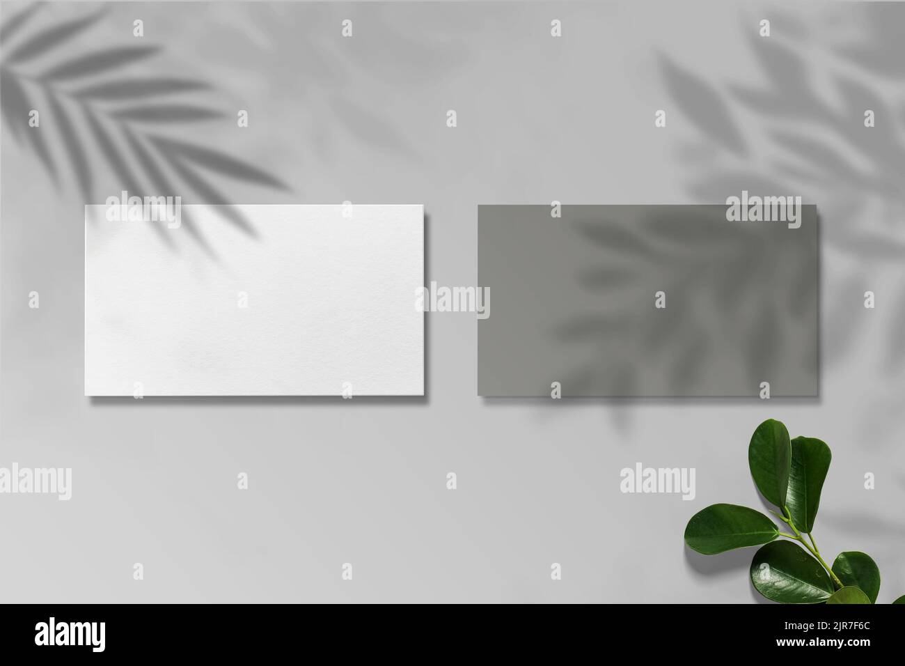 Luxus-Visitenkarte-Modell.Luxus-Logo-Modell Stockfoto