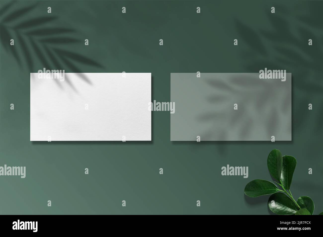 Luxus-Visitenkarte-Modell.Luxus-Logo-Modell Stockfoto