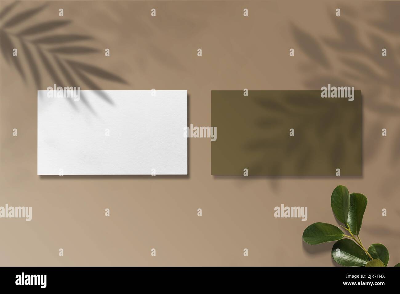 Luxus-Visitenkarte-Modell.Luxus-Logo-Modell Stockfoto