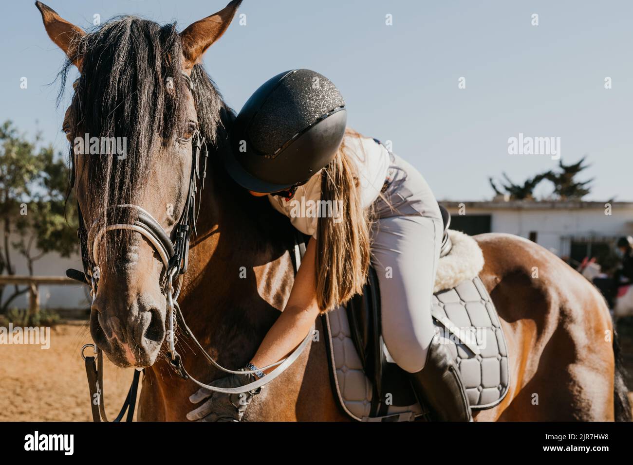 Die junge Frau in Uniform und auf ihrem Pferd umarmt ihn liebevoll Stockfoto