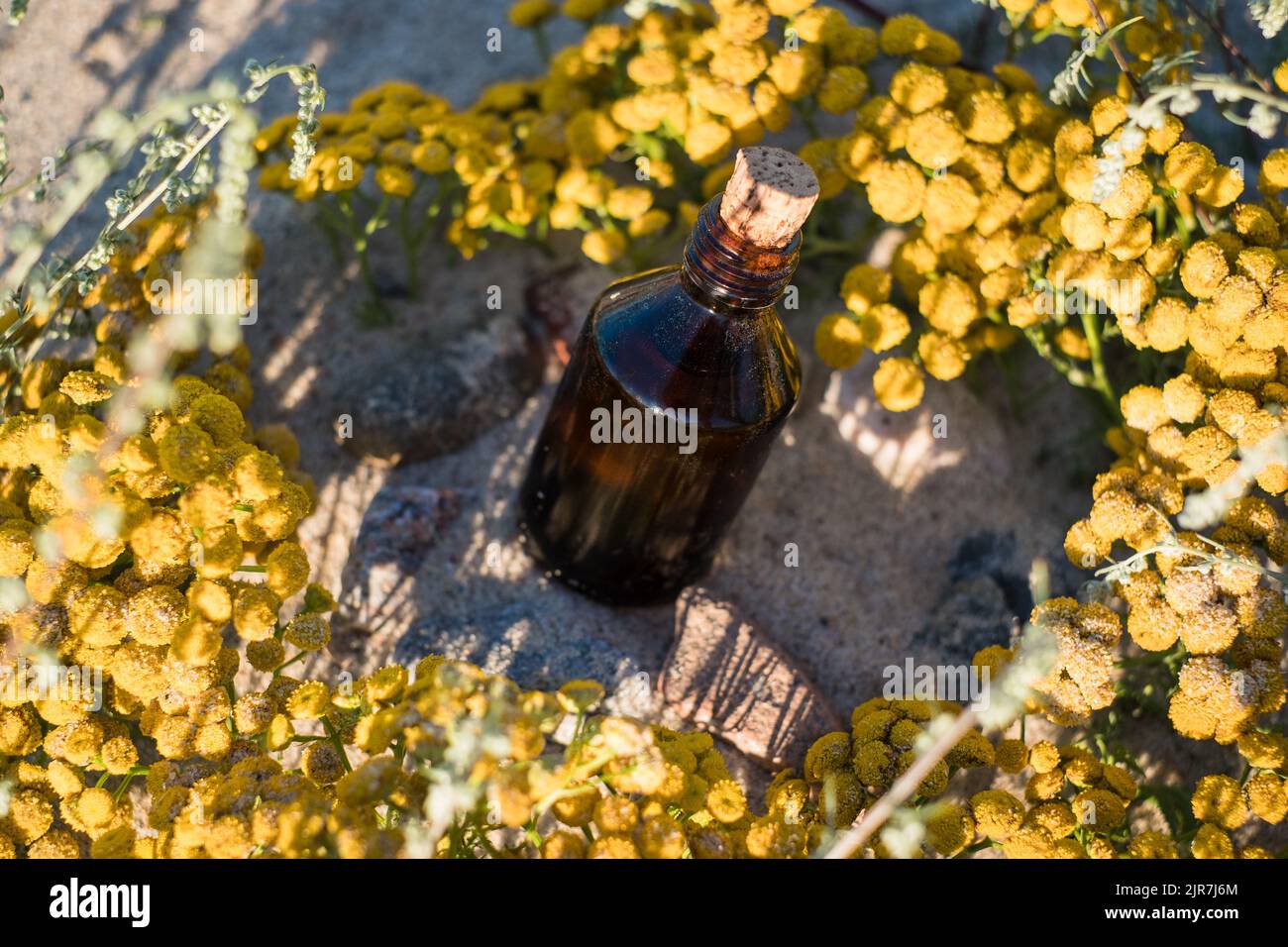 Flasche ätherisches Öl auf Sand mit gelben Strandpflanzen. Kleine braune Medizinflasche im Hintergrund der Natur. Hanföl aus biologischem CBD. Stockfoto