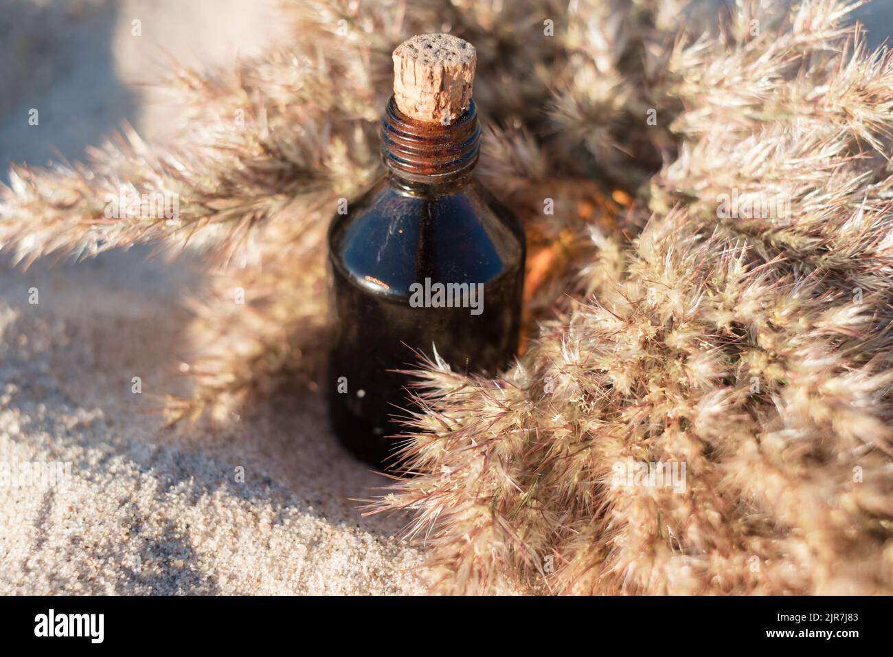 Flasche ätherisches Öl an einem Sandstrand mit weichem beigefarbenem Schilf. Kleine braune Medizinflasche im Hintergrund der Natur. Hanföl aus biologischem CBD. Stockfoto
