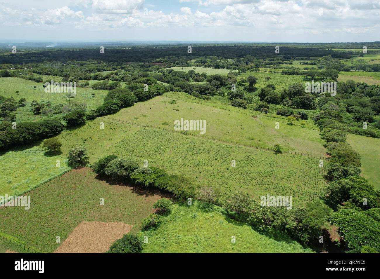 Leere grüne Farm Weide Feld Luftdrohne Ansicht Stockfoto