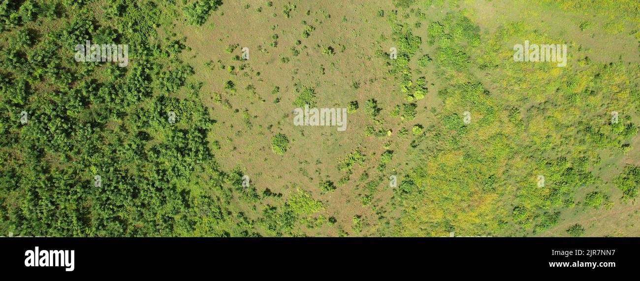 Verschiedene Arten von Grünflächen mit Gras und Pflanzen über der Dronen-Ansicht oben Stockfoto