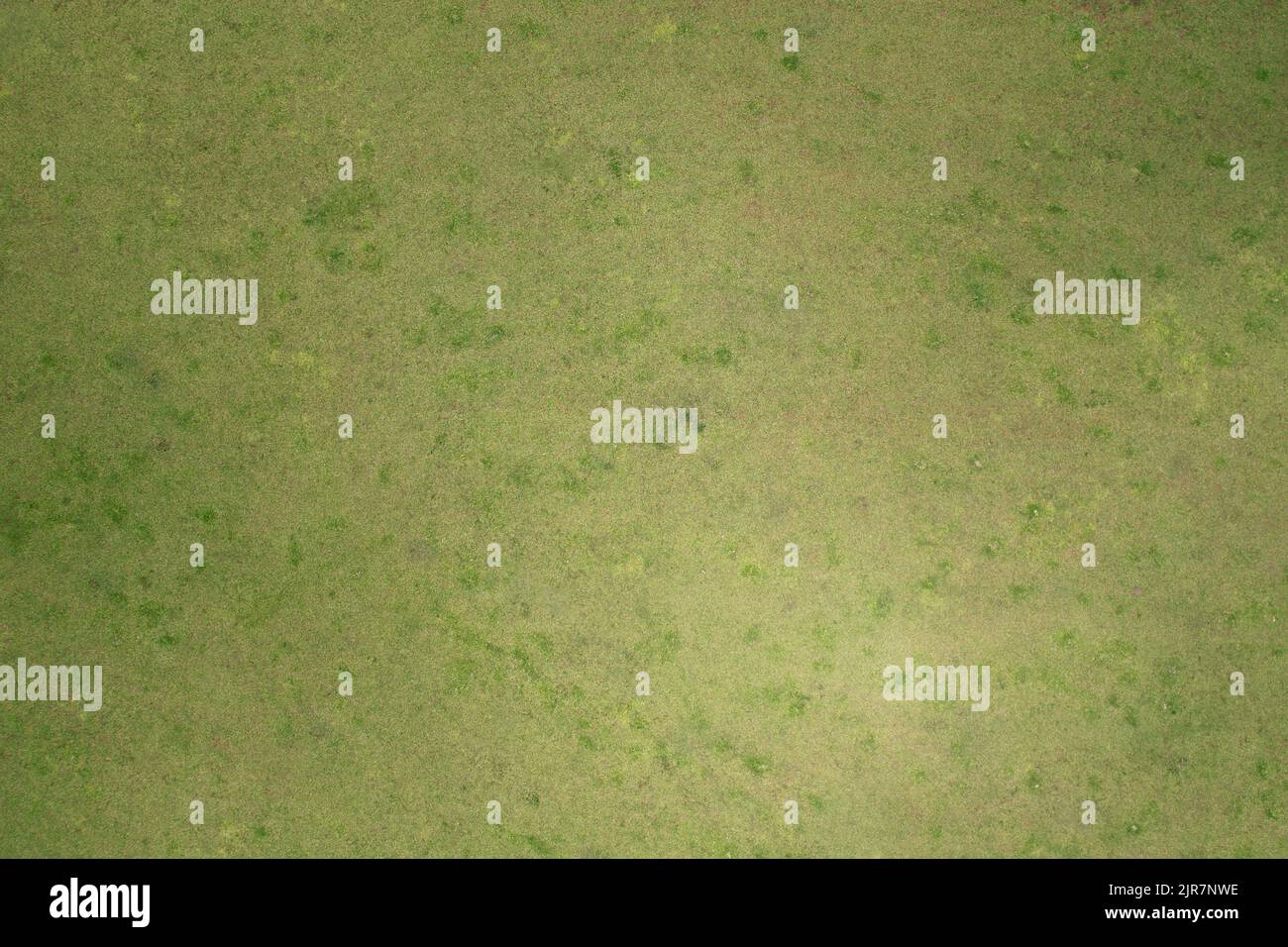 Grünes leeres Grasfeld über der Drone-Ansicht oben Stockfoto