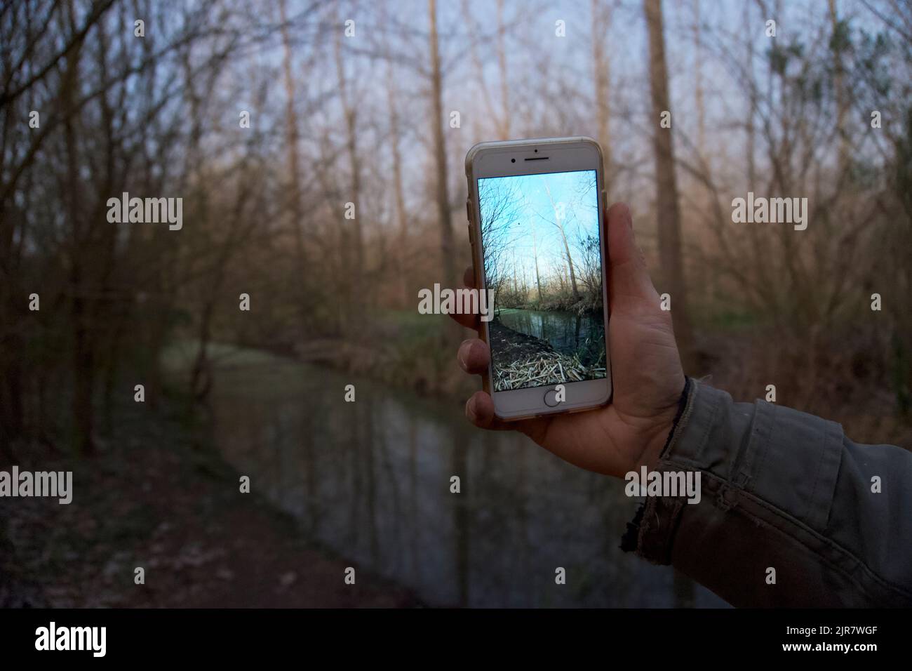 Smartphone zeigt natürliche Landschaft. Stockfoto