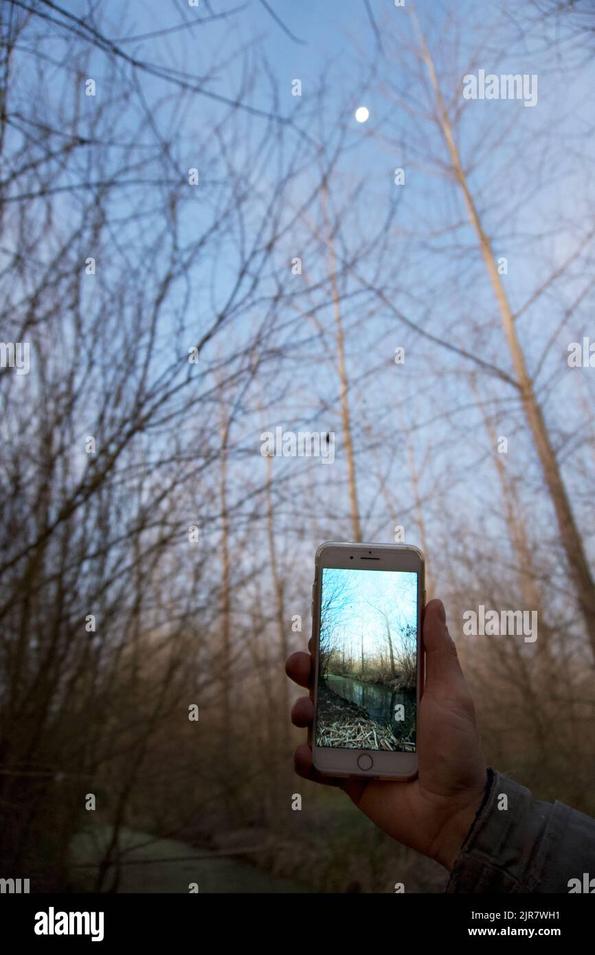 Smartphone zeigt natürliche Landschaft. Stockfoto