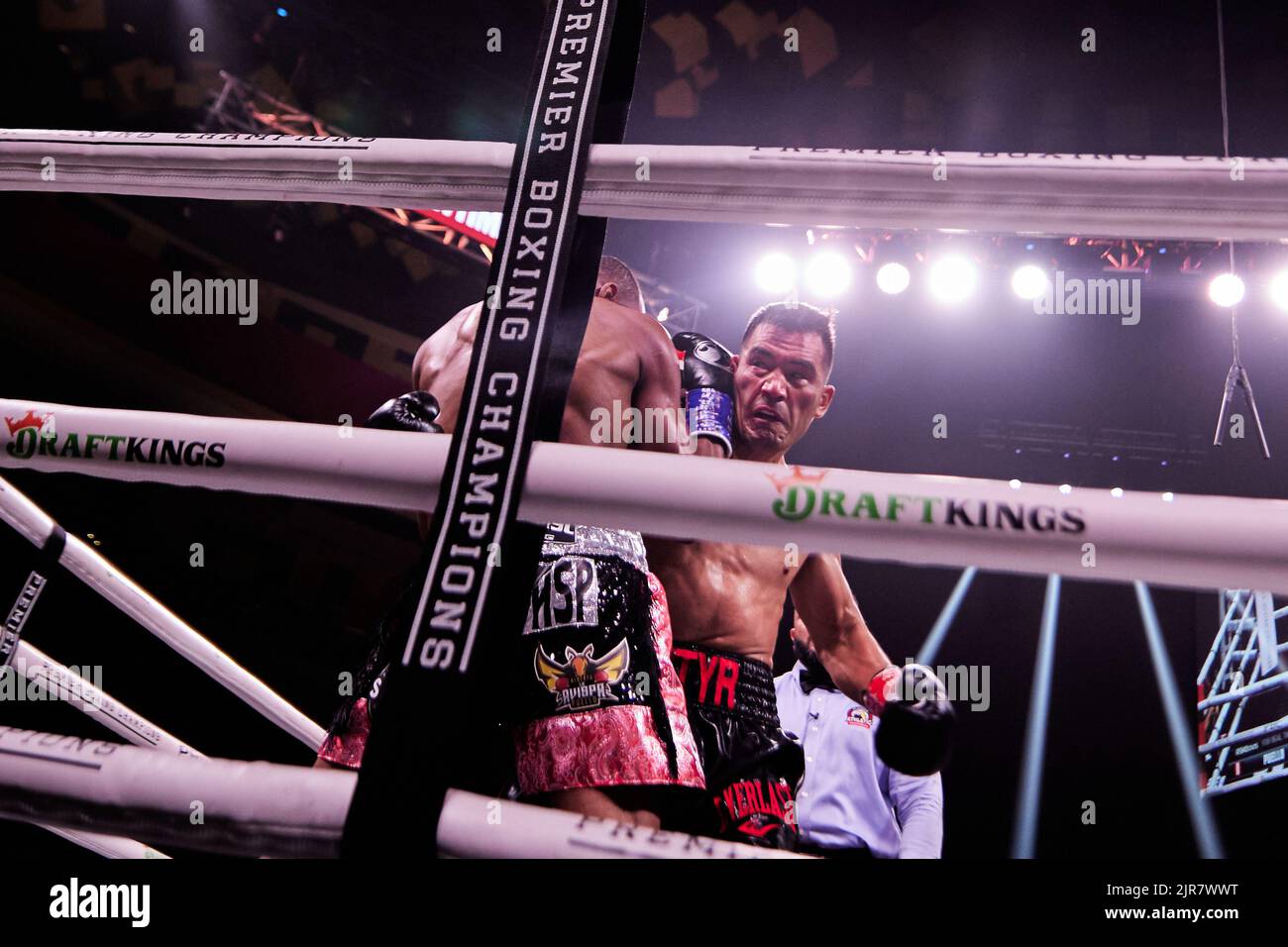 ProfiBoxer WBA interim superleichte Alberto Puello besiegt im Profi