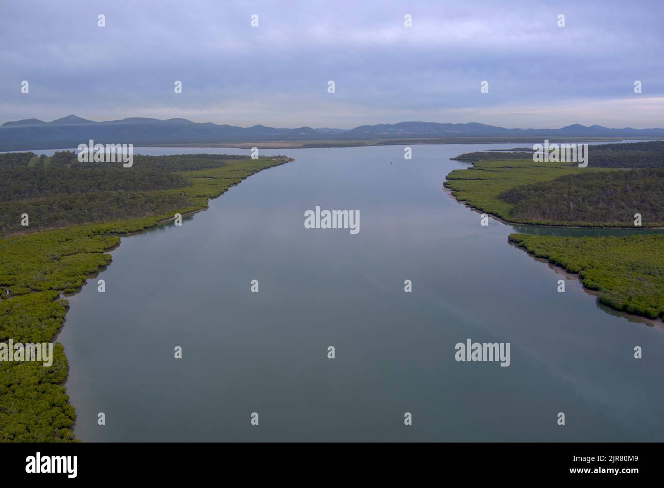 Luftaufnahme von Mangroven am Ufer des Graham Creek auf Curtis Island