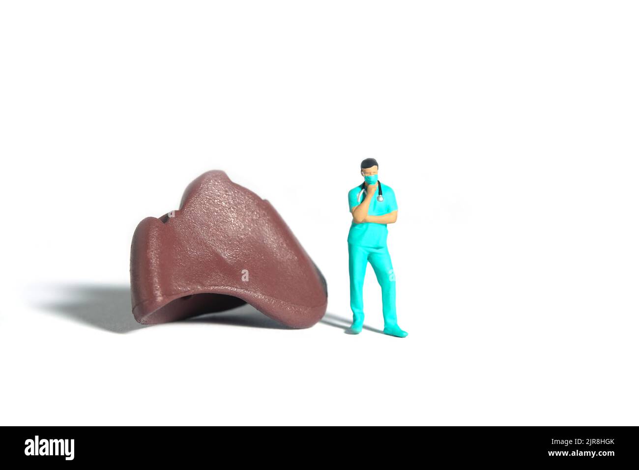 Miniatur Menschen Spielzeug Figur Fotografie. Ein Arzt oder eine Krankenschwester, der vor einem Leberorgan steht und denkt. Isolierter weißer Hintergrund. Bildfoto Stockfoto