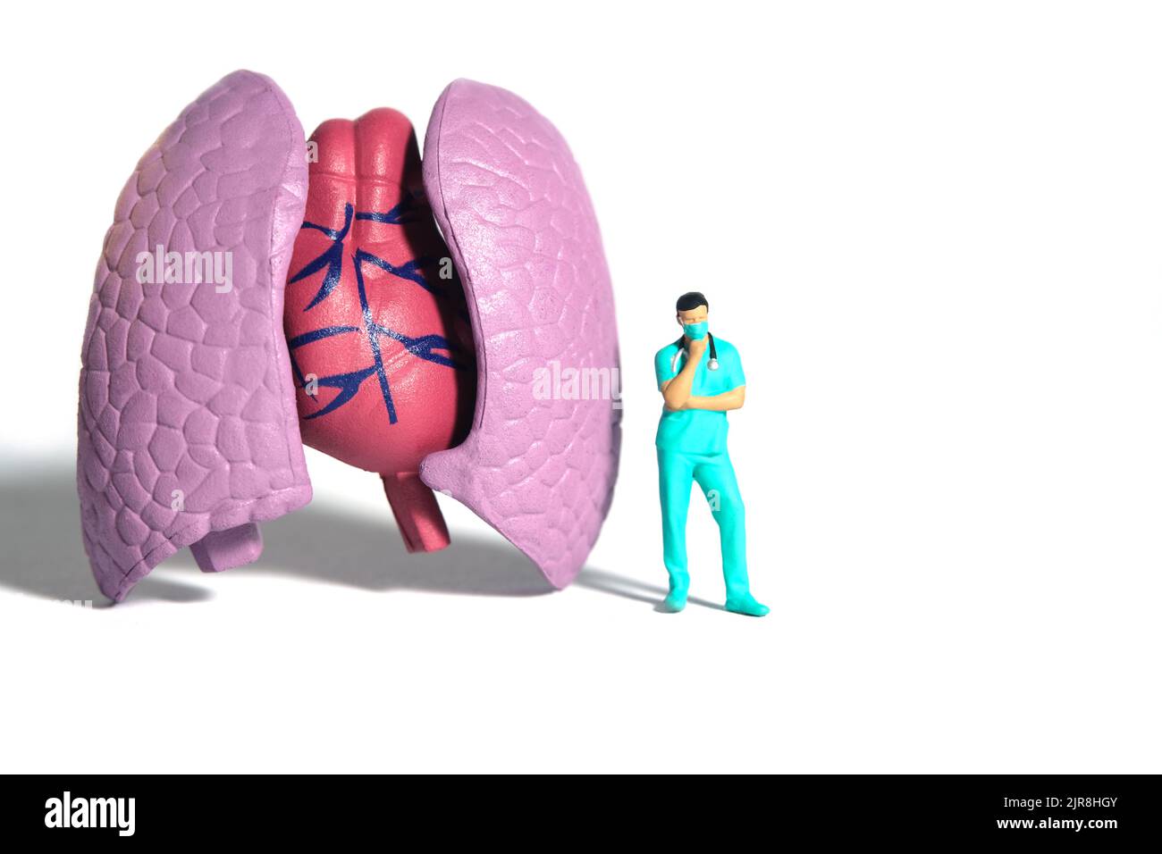Miniatur Menschen Spielzeug Figur Fotografie. Ein Mann Arzt oder Krankenschwester denken, während vor der Lunge Organ stehen. Isolierter weißer Hintergrund. Bildfoto Stockfoto