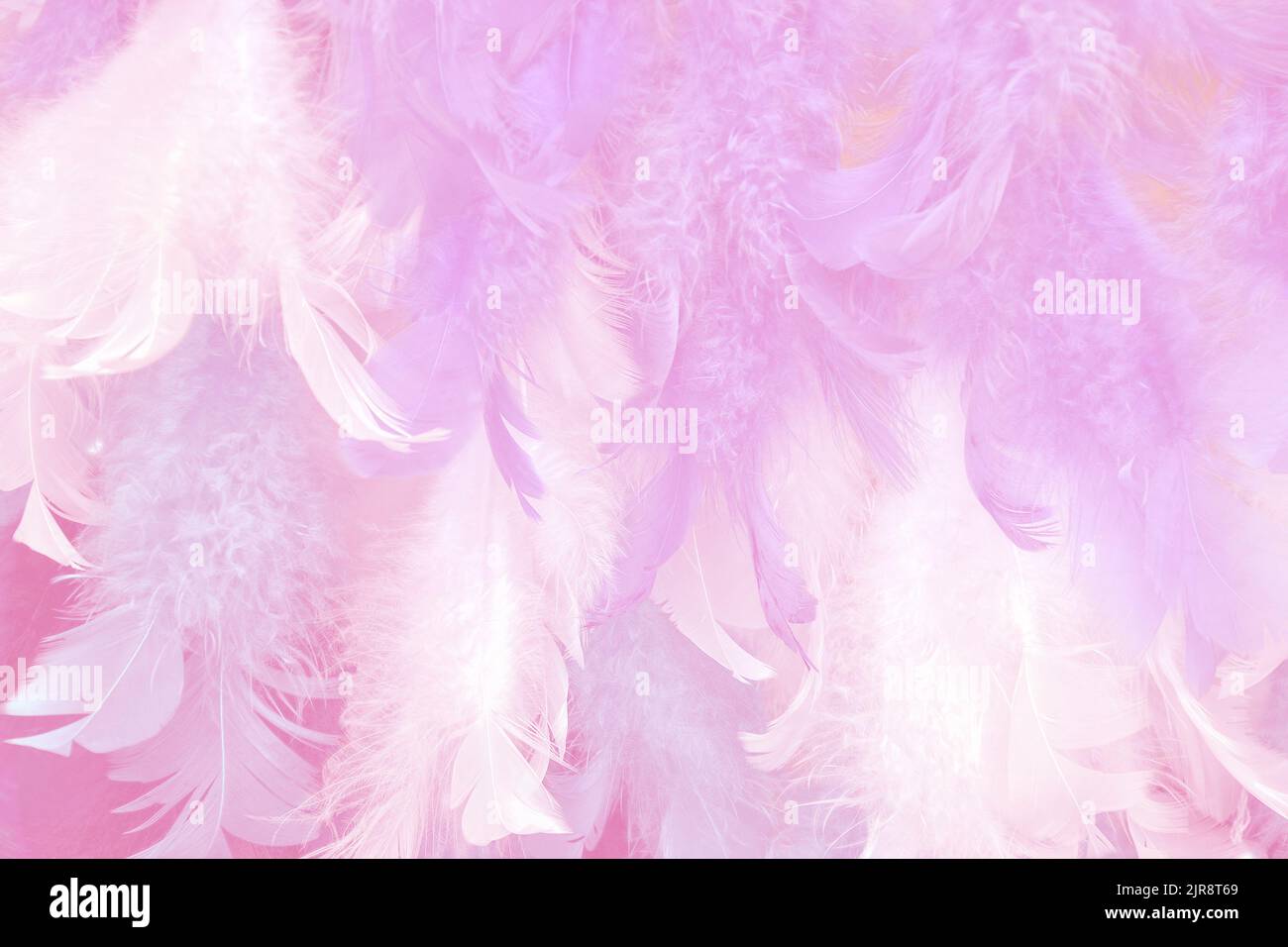 Vogelfedern - Glamour, flauschig sanften natürlichen Hintergrund in weißen und rosa Farben. Abstrakt, verwackelte Optik und weiche, zarte Farbtöne für Pastellfarben Stockfoto