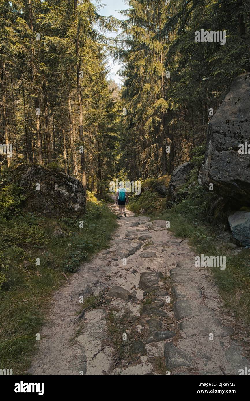 Frau Wandern im Wald Stockfoto