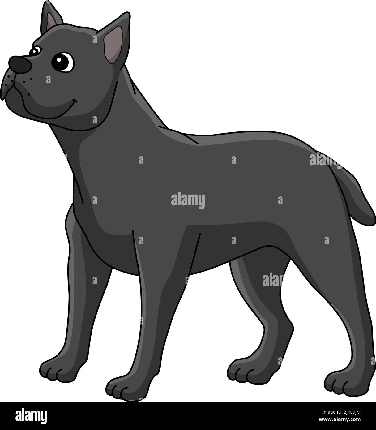 Cane Corso Dog Cartoon Coloured Clipart Stock Vektor