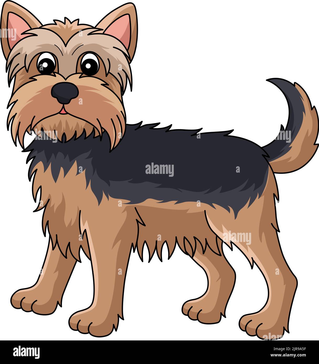 Yorkshire Terrier Dog Cartoon Coloured Clipart Stock Vektor