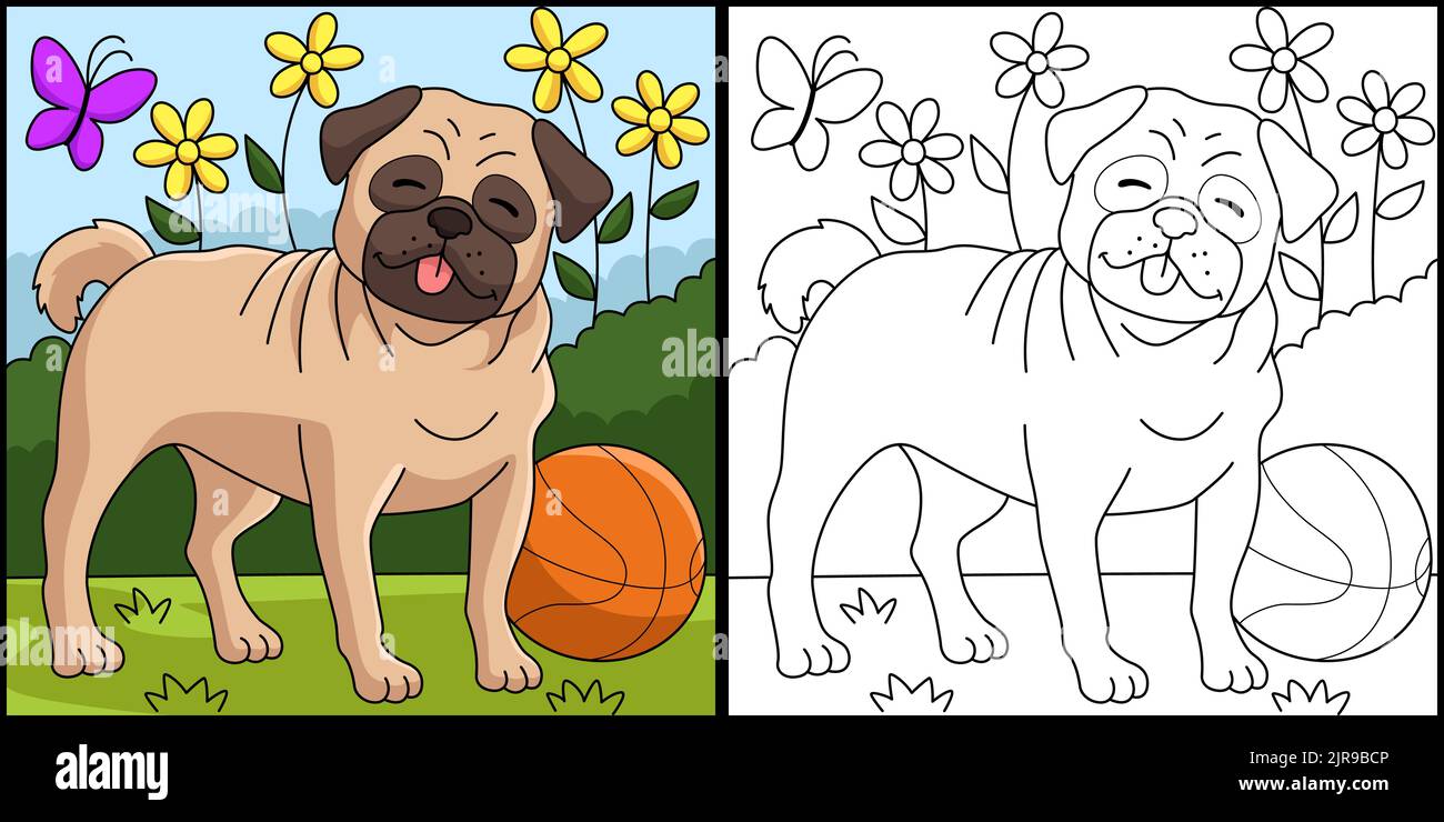 Pug Dog Coloring Page Farbige Illustration Stock Vektor