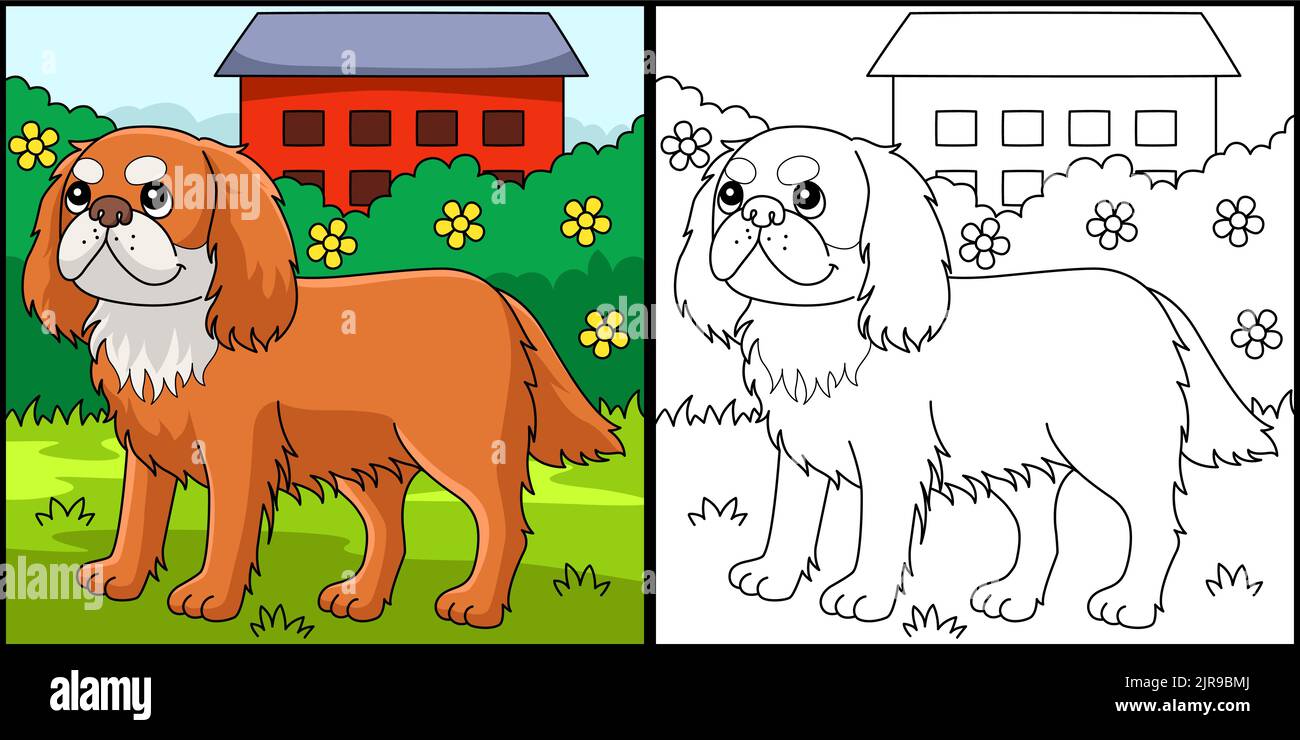 King Charles Spaniel Dog Coloring Illustration Stock Vektor