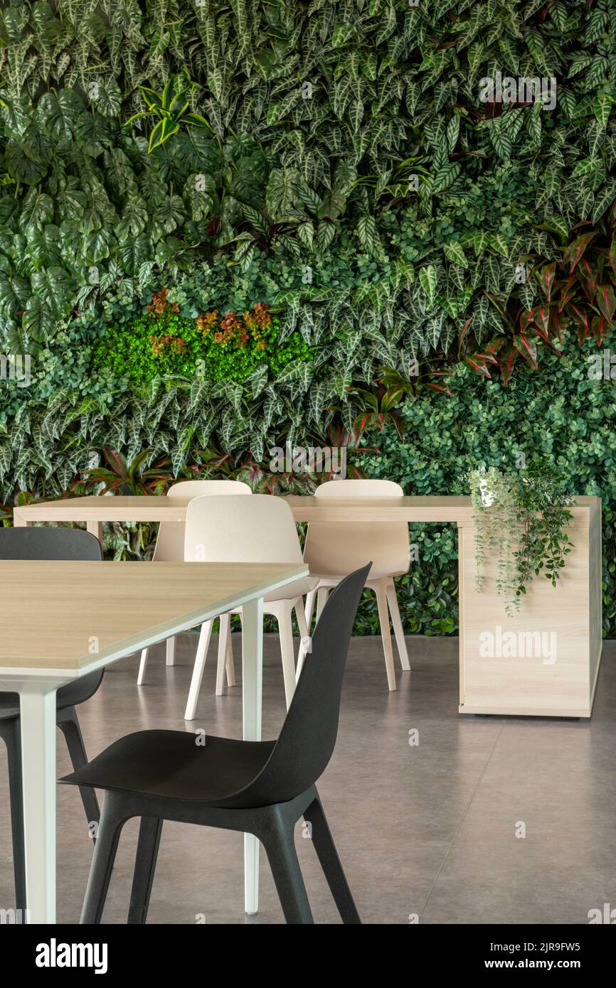 Grünes Wohnzimmer mit Stühlen und Tisch, vertikaler Garten - Stock Foto Stockfoto