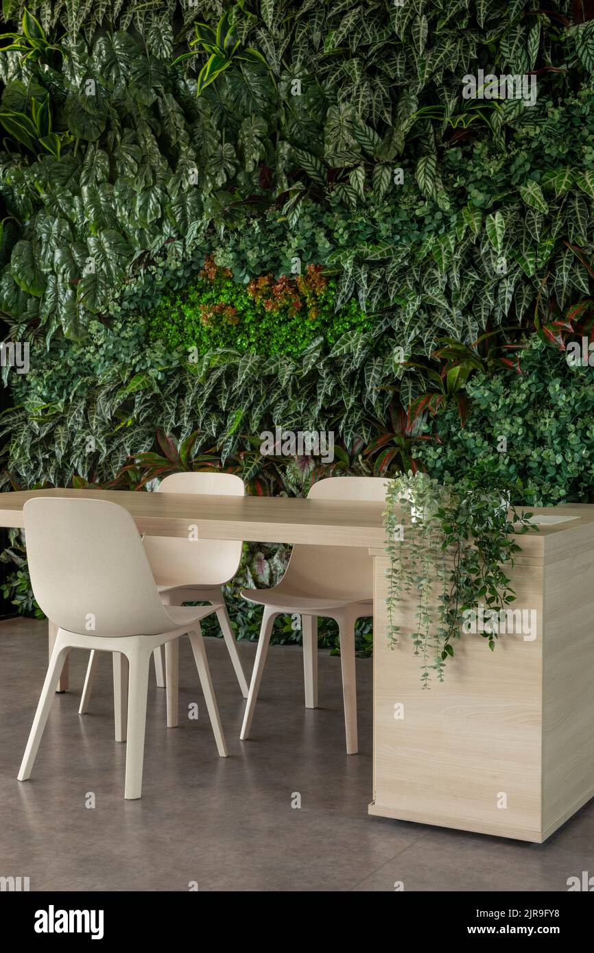 Grünes Wohnzimmer mit Stühlen und Tisch, vertikaler Garten - Stock Foto Stockfoto