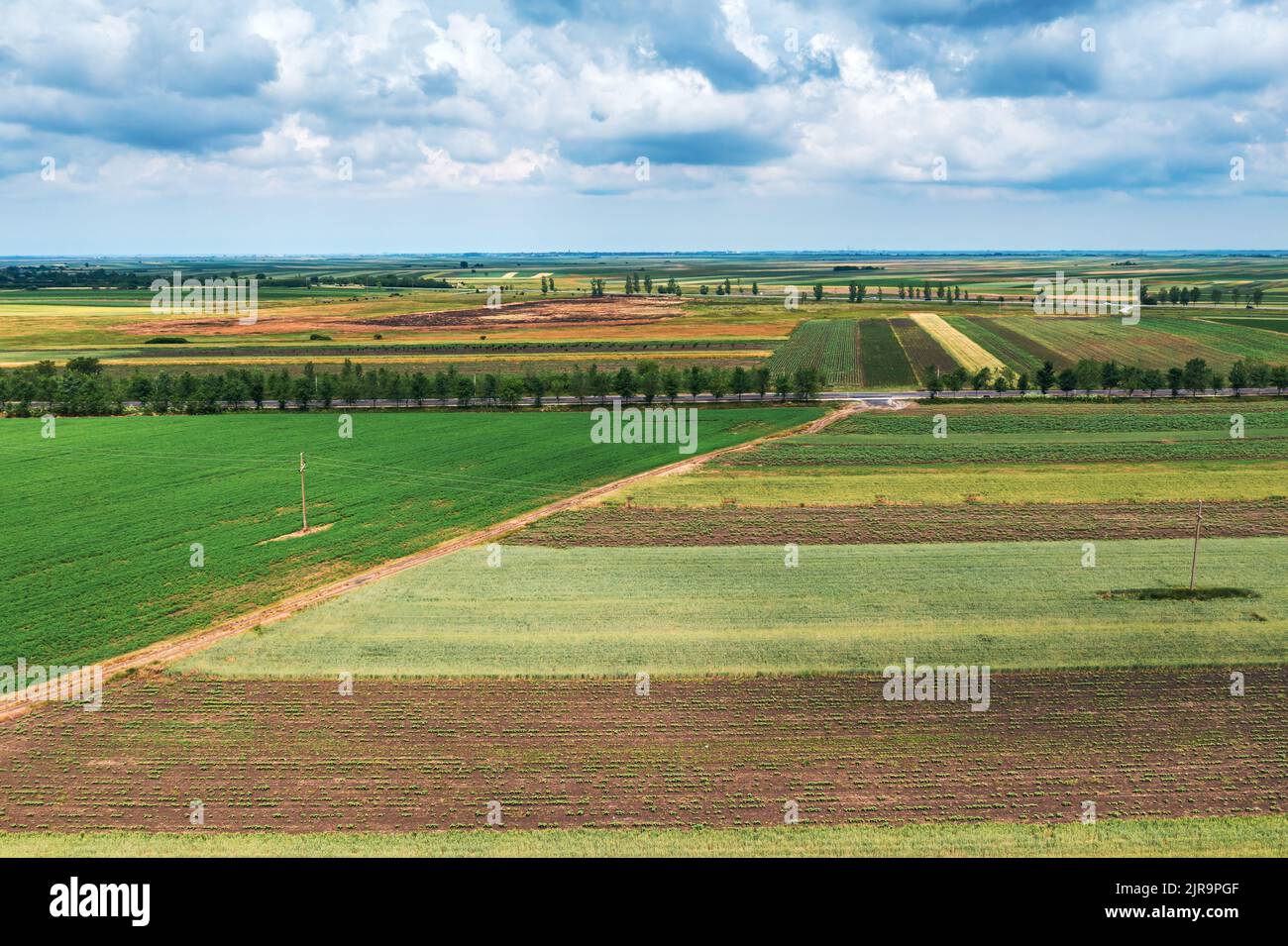 Luftaufnahme der schönen Landschaft mit kultivierten Feldern in Banat, geographische Region der Provinz Vojvodina in Serbien, Drohne pov hoch und Stockfoto