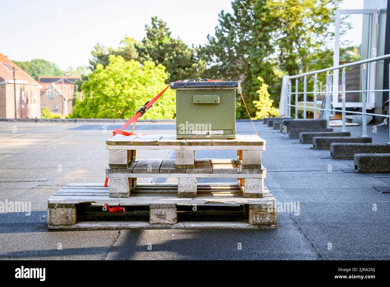 Bienenstock auf dem Dach Stockfoto
