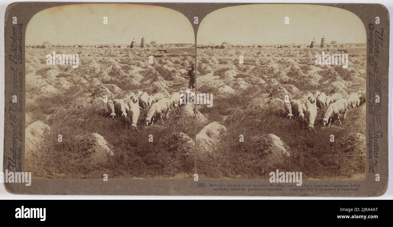 Ehrfürchtig, aber schädlich Ahnenkult, einer von Chinas immensen Friedhofs, die ernsthaft ihre produktive Landfläche verringern, 1900, China, von James Ricalton, Underwood & Underwood. Stockfoto