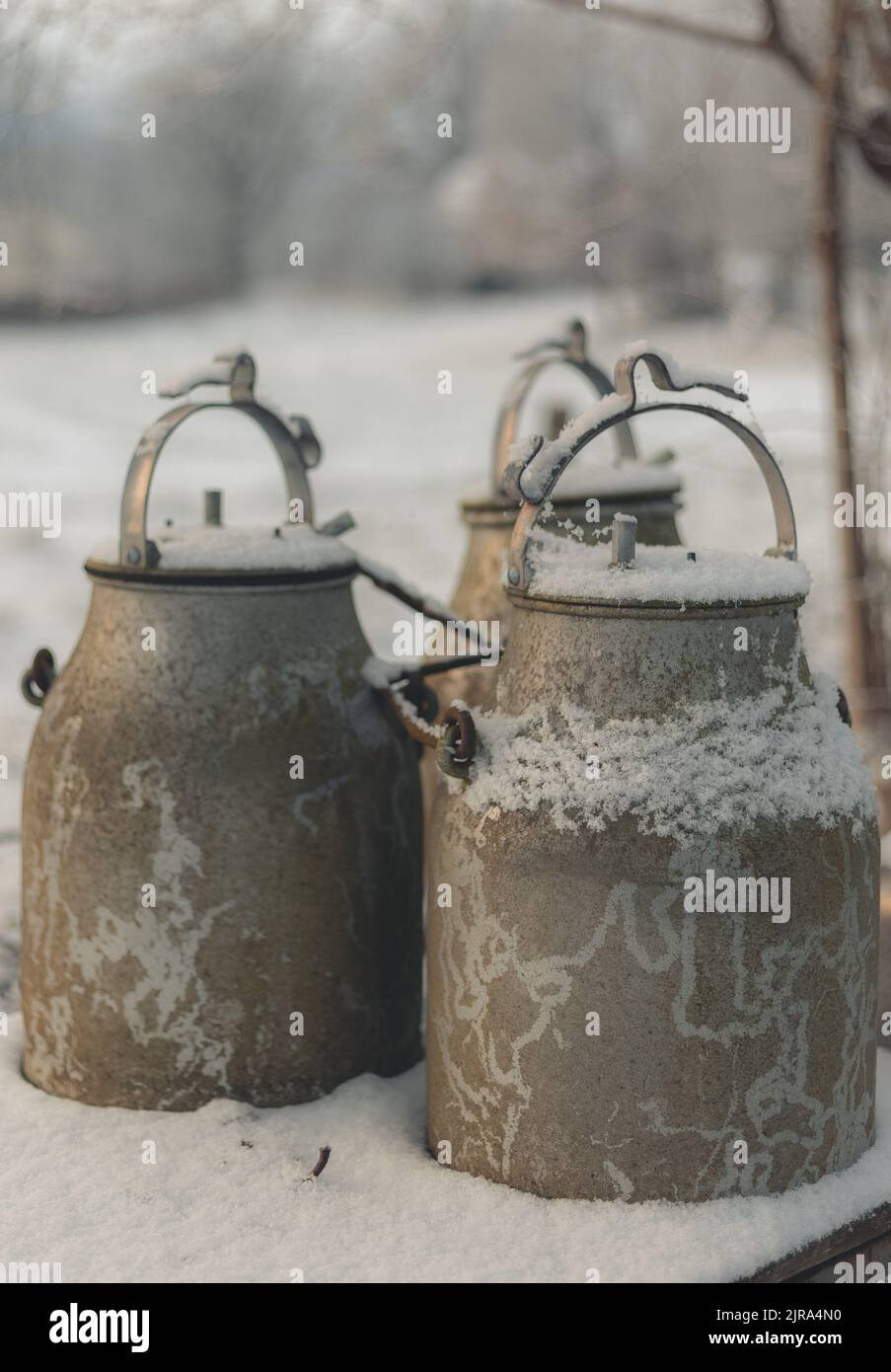 Eine vertikale Nahaufnahme von rustikalen Metallmilchbäumchen, die mit Schnee bedeckt sind. Stockfoto