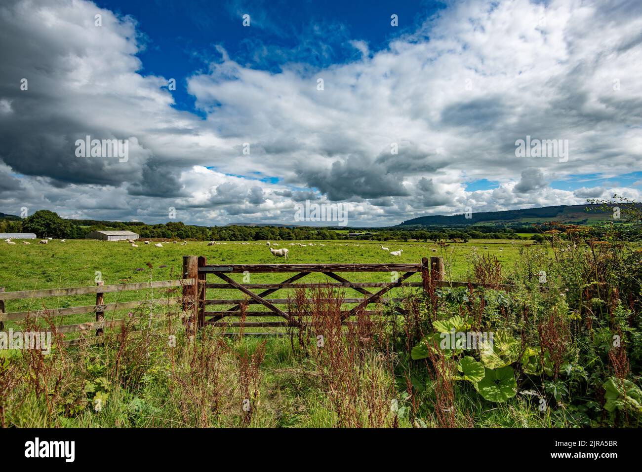 Ein Blick auf ein hölzernes Feldtor und Wolken, Whitewell, Clitheroe, Lancashire, Großbritannien Stockfoto