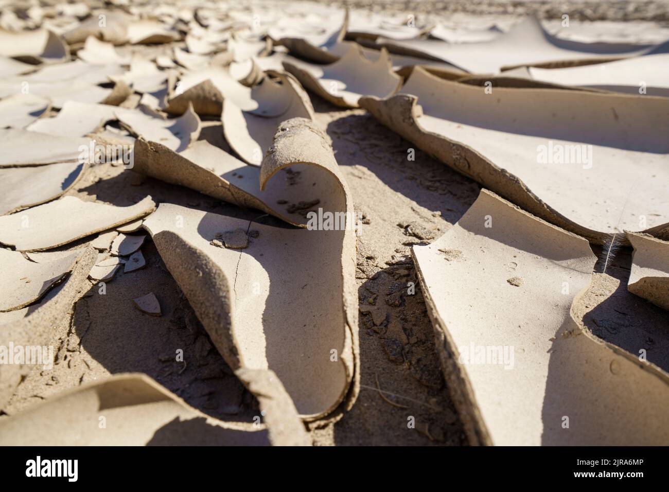 Symbolisches Bild, Hoffnung, Umwelt, Klimawandel trockene Flussbett-Muster. Swakop River, Namibia, Afrika Stockfoto