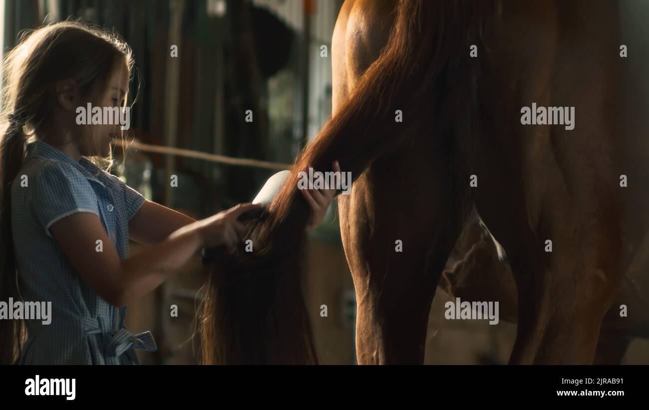 Mädchen mit langen Haaren kämmenden Schwanz von gehorsamen Kastanienpferd während der Pflege Verfahren im Stall auf Ranch Stockfoto