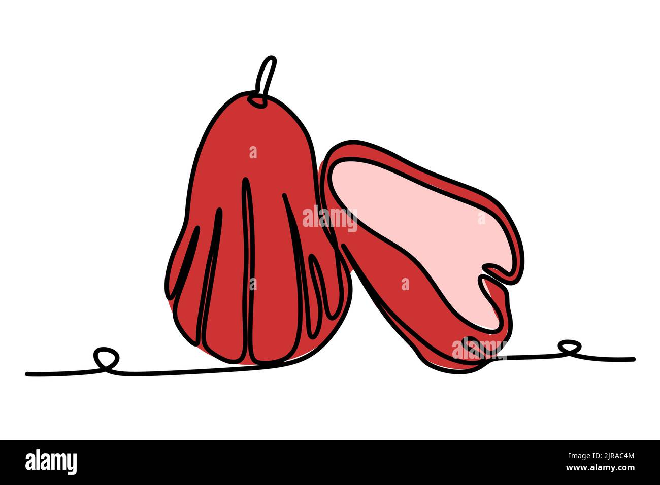 Die ununterbrochene eine Linie Zeichnung der Wasser-Guawa-Frucht. Vektor-Illustration Handgezeichnetes Design für natürliches und gesundes Wohnkonzept Stock Vektor