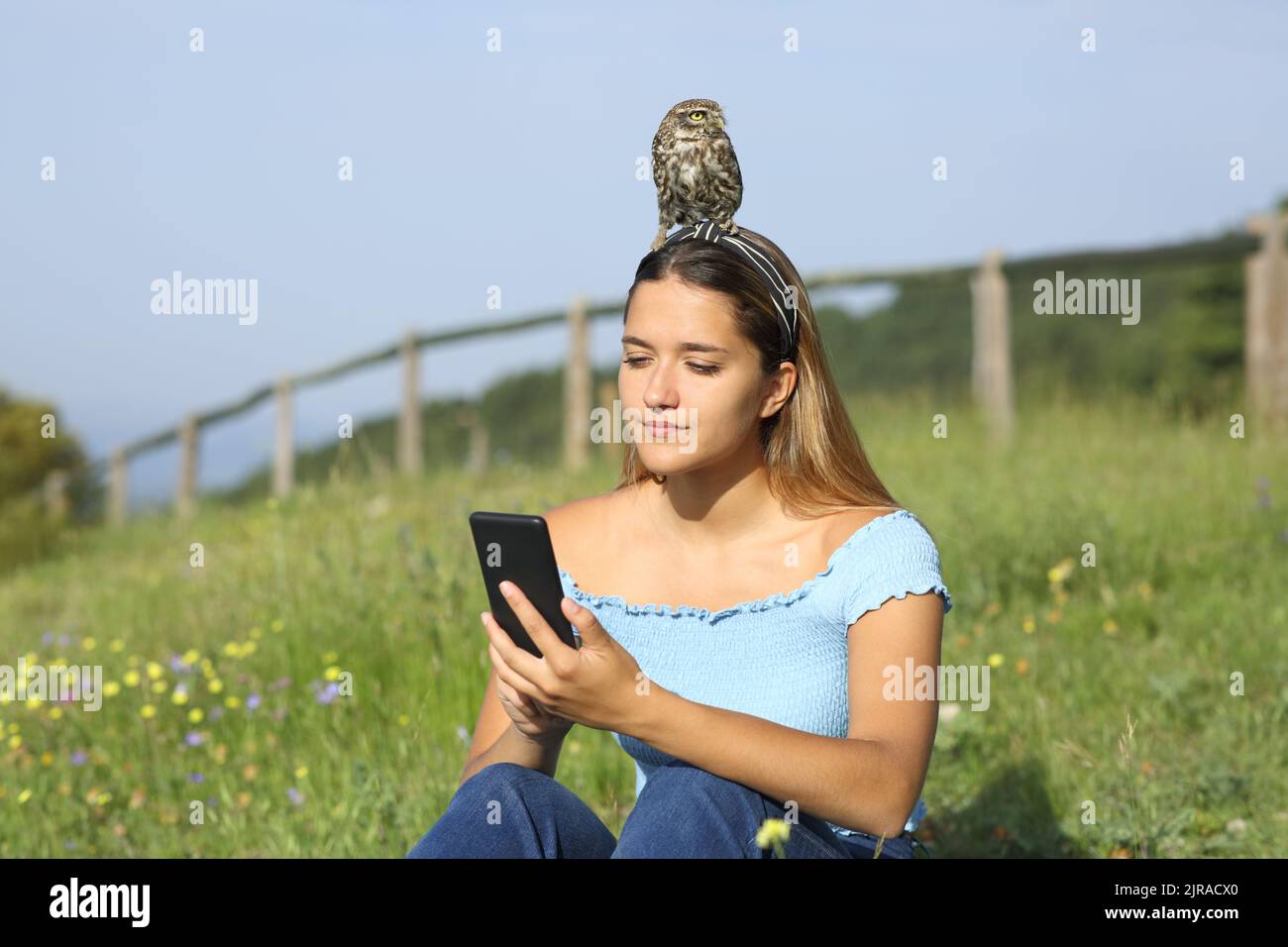 Frau, die ein Telefon mit einem Vogel auf dem Kopf benutzt und es auf einer Wiese ignoriert Stockfoto