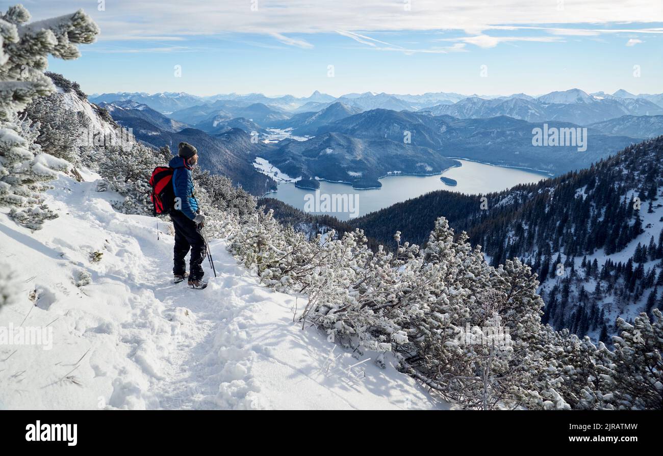 Wanderer mit Rucksack mit Blick auf Walchensee vom Mt. Herzogstand, Bayerische Voralpen, Bayern, Deutschland Stockfoto