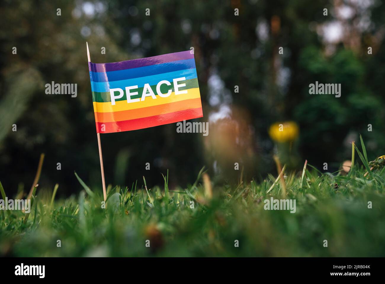 Friedensflagge auf der Wiese im Park Stockfoto