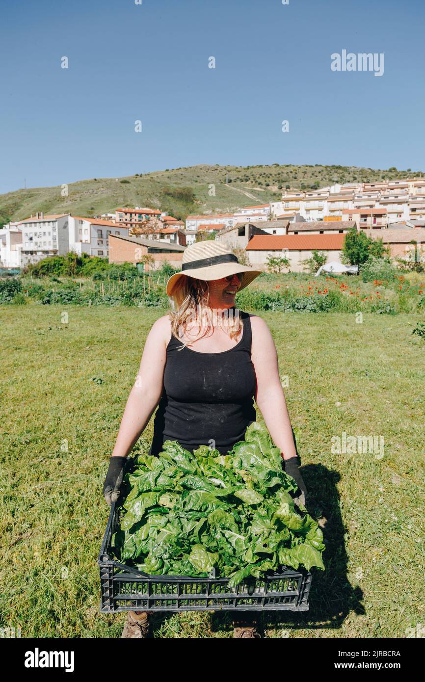 Glücklicher Bauernhofarbeiter mit Kiste Blattgemüse, die auf dem Feld steht Stockfoto