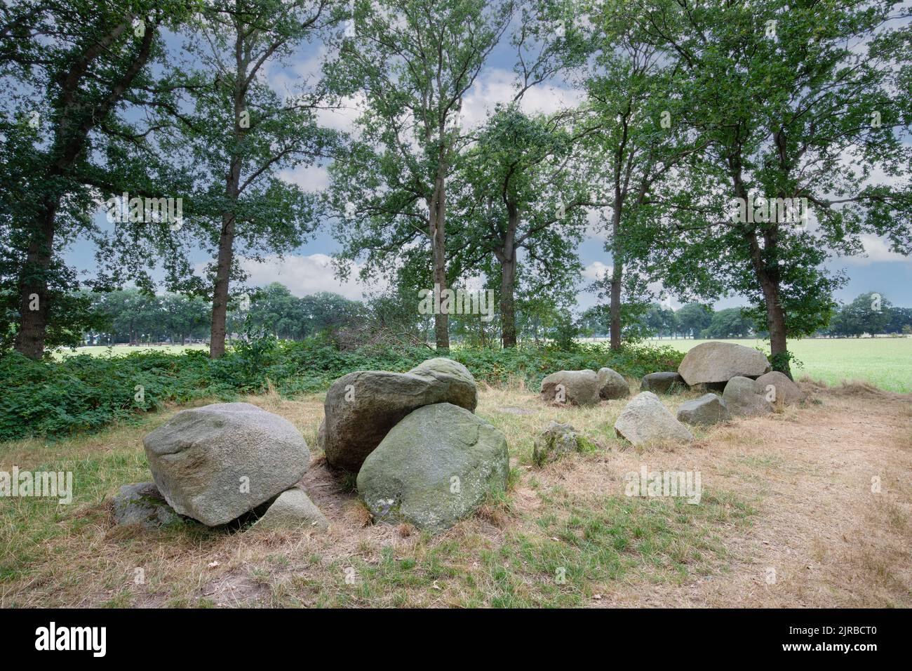 Dolmen D51, Noord-Sleen Gemeinde Coevorden in der niederländischen Provinz Drenthe ist ein neolithisches Grab und geschütztes historisches Denkmal in einer natürlichen Stockfoto