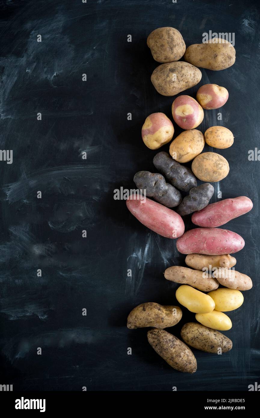 Studioaufnahme von verschiedenen Kartoffelsorten flach vor schwarzem Hintergrund gelegt Stockfoto