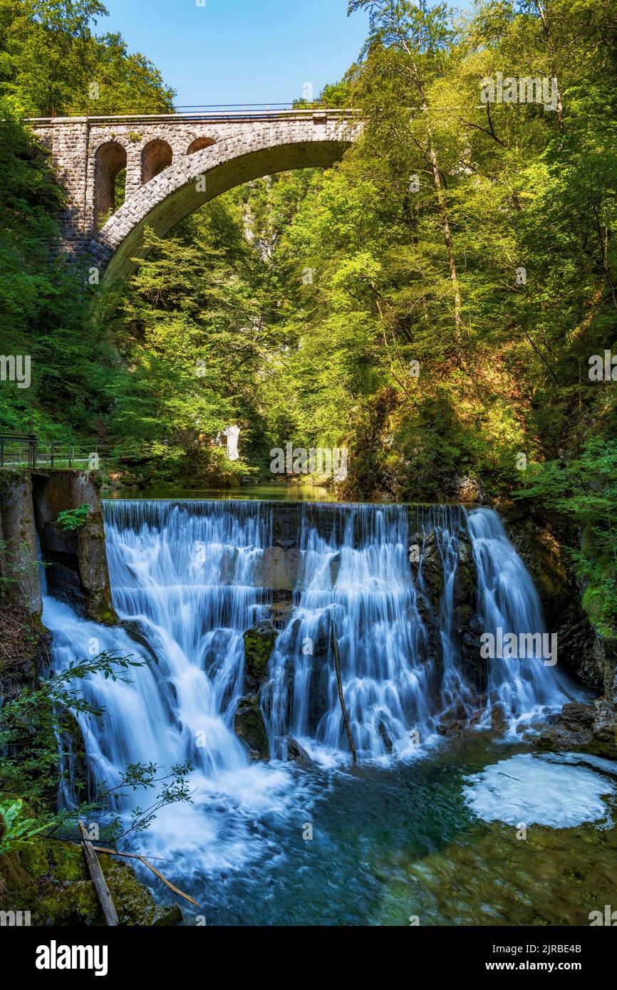 Slowenien, Bogenbrücke über den Wasserfall auf dem Radovna-Fluss, der durch die Vintgar-Schlucht fließt Stockfoto