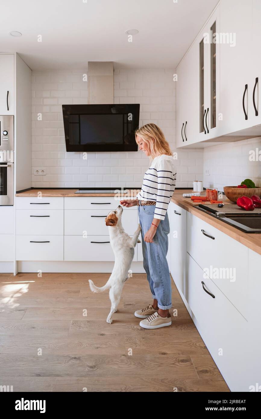 Junge Frau füttert Futter an Hund in der heimischen Küche Stockfoto